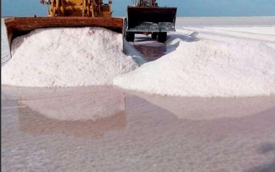 Sea Salt